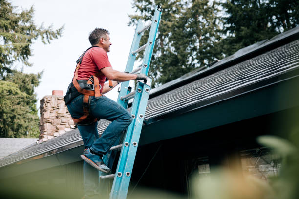 Best Roof Moss and Algae Removal  in North Richmond, CA